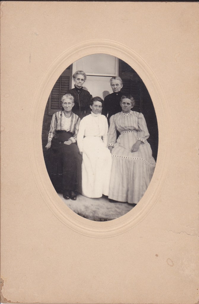 This image has an empty alt attribute; its file name is knackers-copy.jpg