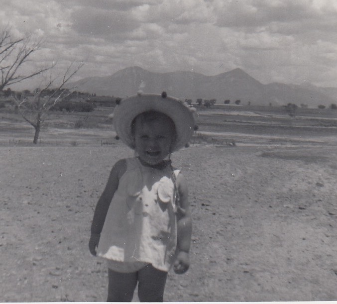 This image has an empty alt attribute; its file name is img_20170614_0060.jpg