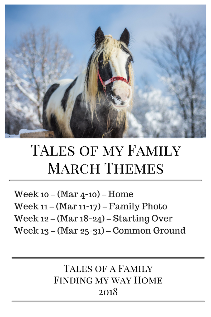 TAles of my FamilyMarch Themes copy