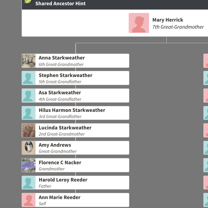 Screen Shot 2018-06-08 at 2.30.11 PM