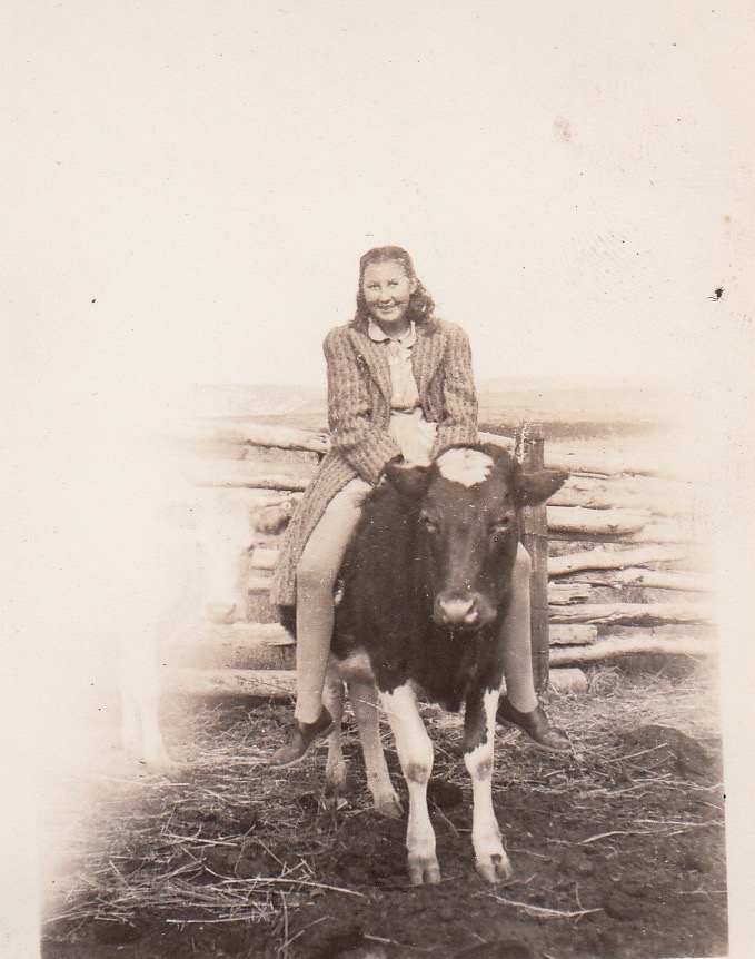 This image has an empty alt attribute; its file name is img_20170614_00501.jpg